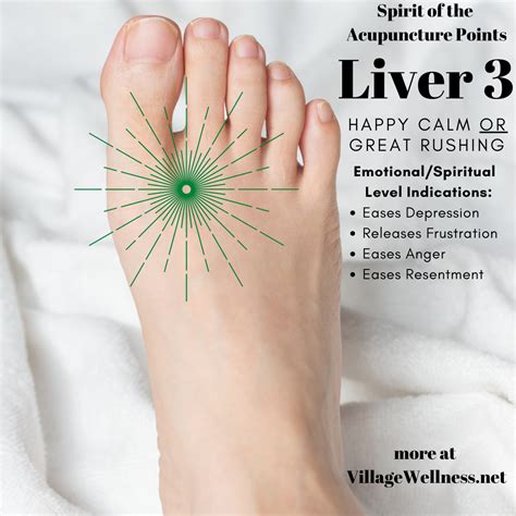 liver acupuncture points chart